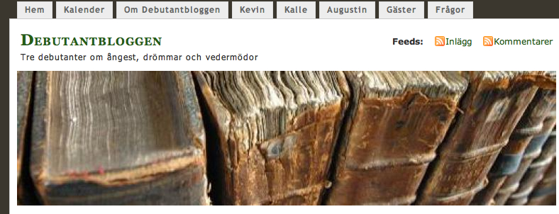Debutantbloggen bild
