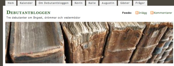 Debutantbloggen bild
