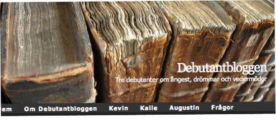 Debutantbloggen januari 2009