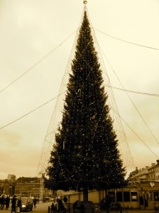 Julgran