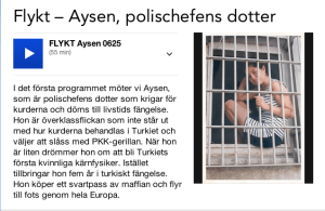 Flykt