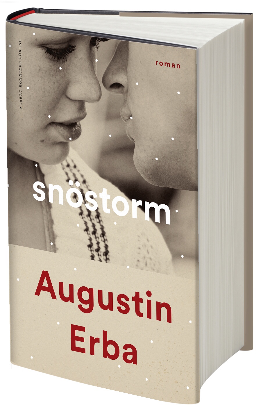 Snöstorm av Augustin Erba